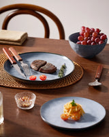 Famiware Ocean Round 12-Piece Stoneware Dinnerware Set, Service for 4