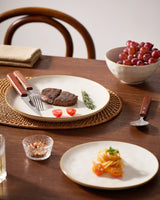 Famiware Ocean Round 12-Piece Stoneware Dinnerware Set, Service for 4
