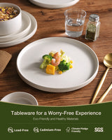 Famiware Star 12-Piece Stoneware Dinnerware Set, Service for 4