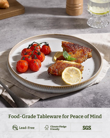 Famiware Star Ceramic Dinner Plates, Set of 6